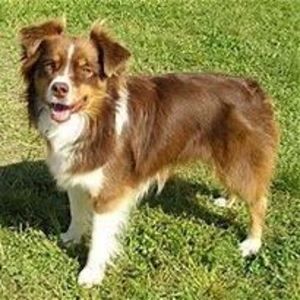 Meet your Posher, Mary meyer